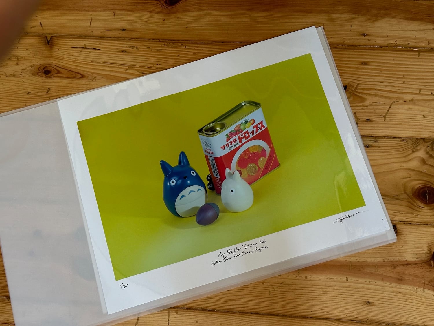 My Neighbor, Totoro, Has Gotten into the Candy Again